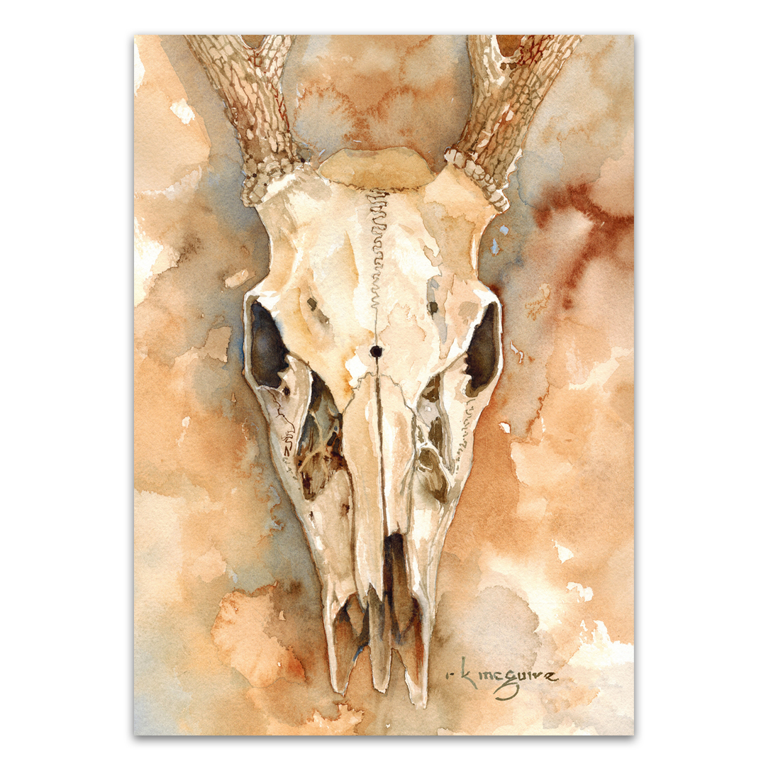 Deer Skull